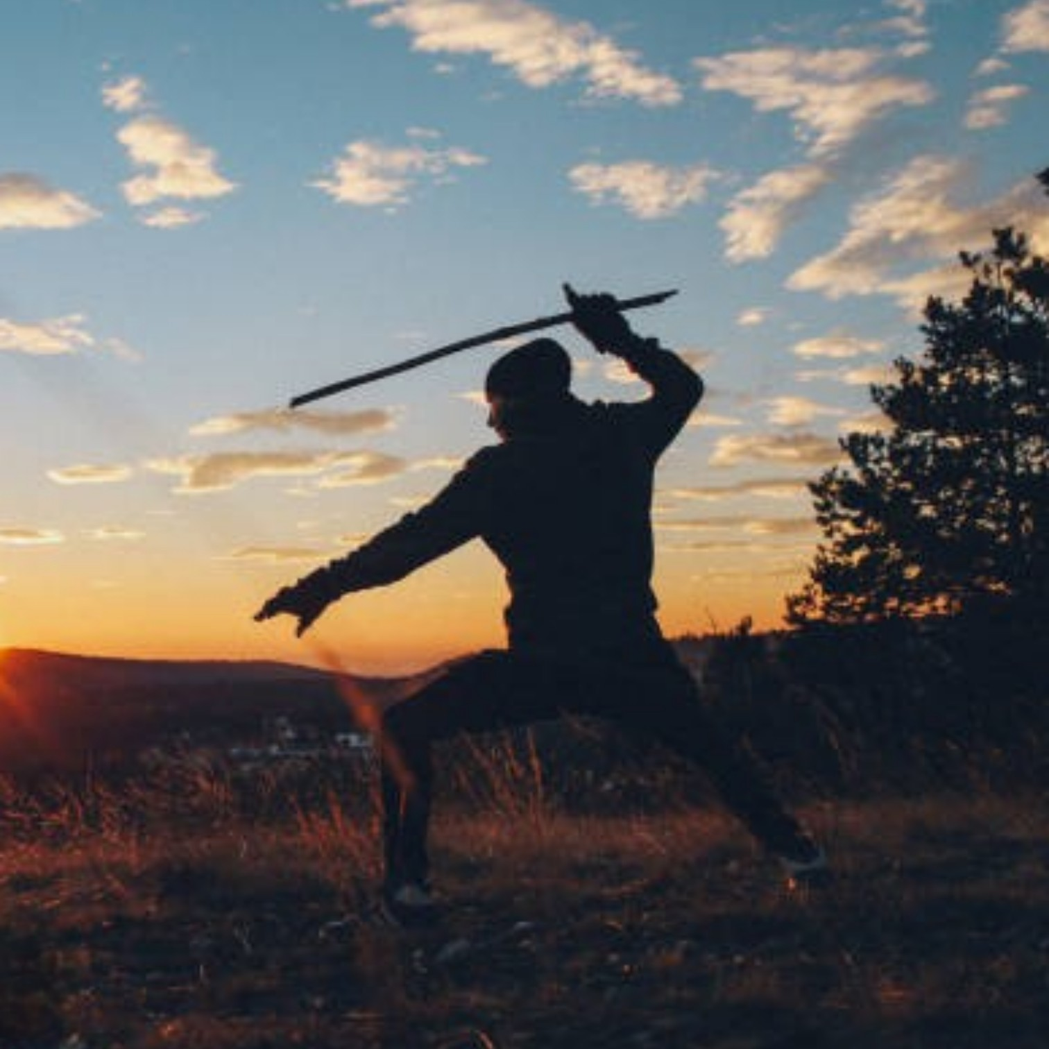 Le voyage de discipline du Samouraï — 武者修行 (Musha Shugyo)
