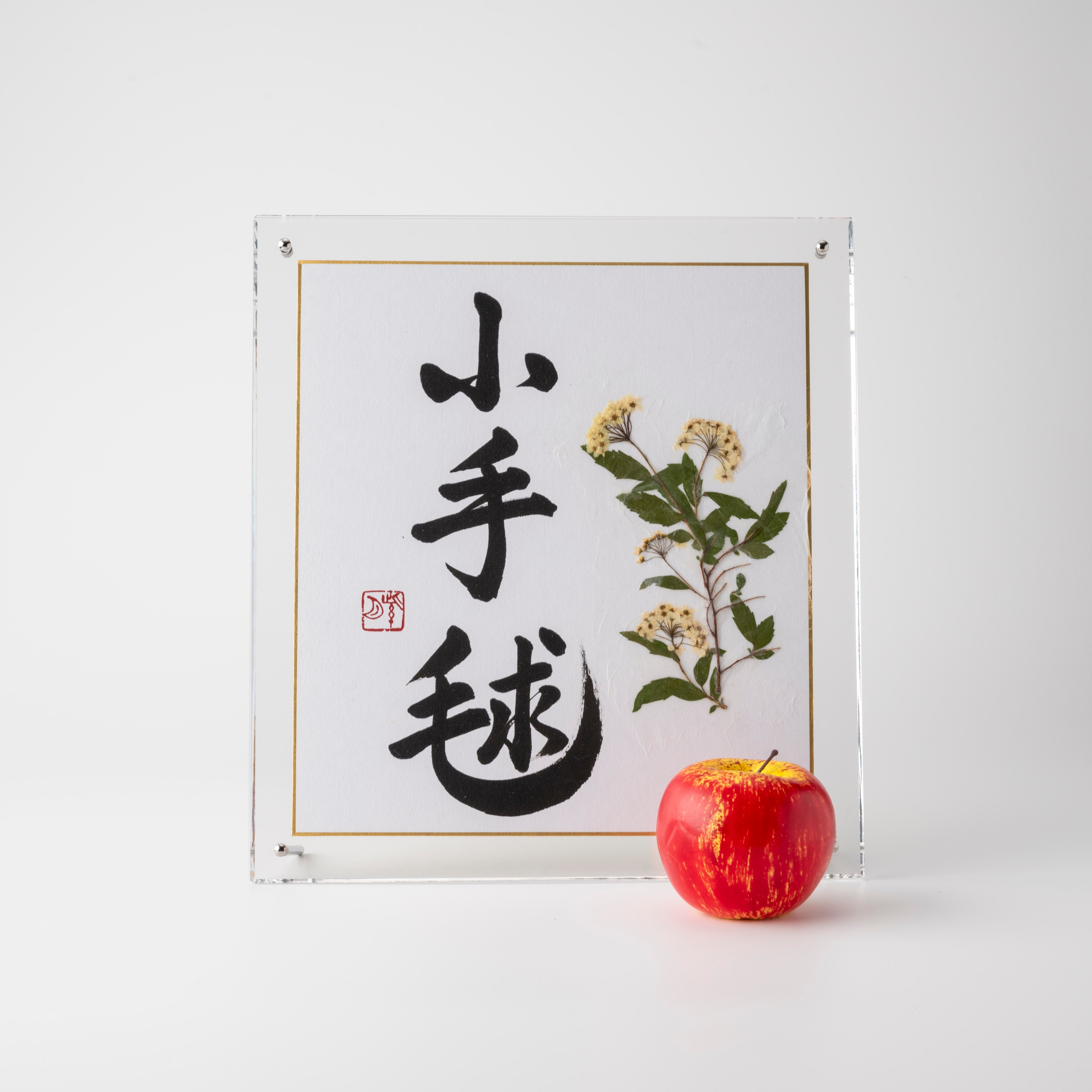 Pressed Flower Kodemari "Reeves Spirea" in Japanese - Acrylic Clear Frame,  Design 1 (Free Shipping)