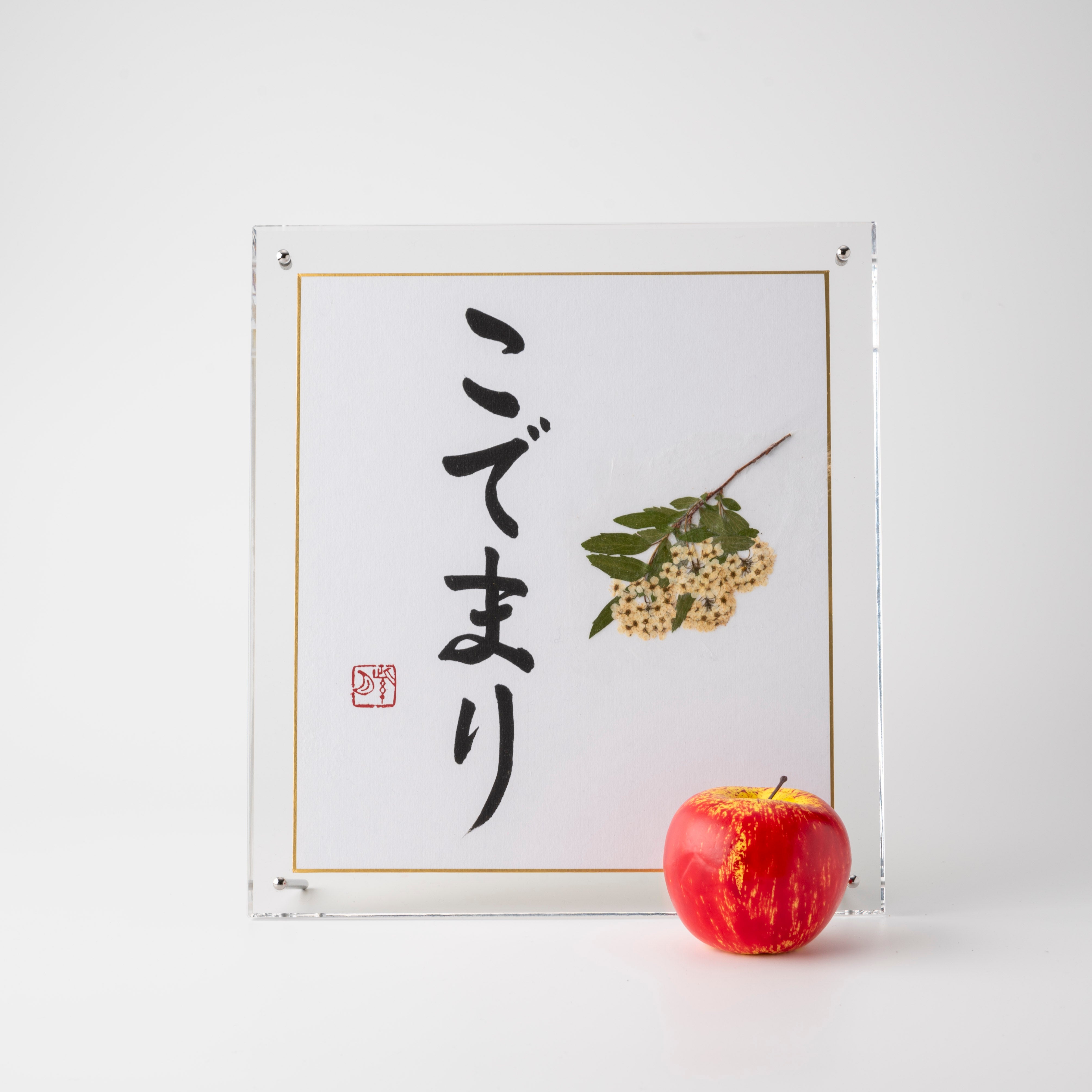 Pressed Flower Kodemari "Reeves Spirea" in Japanese - Acrylic Clear Frame, Design 3 (Free Shipping)