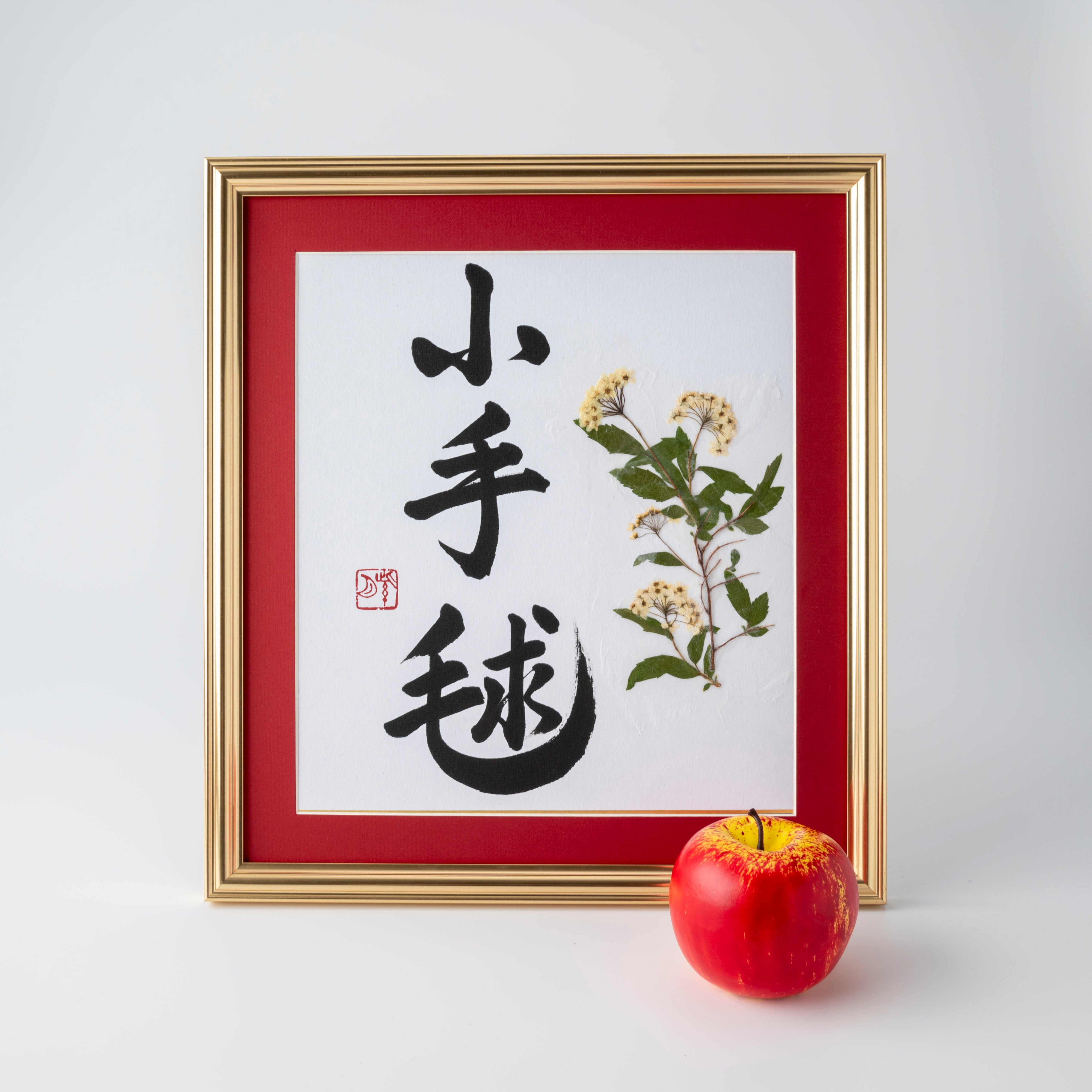 Pressed Flower Kodemari "Reeves Spirea" in Japanese - Gold Frame with Red Mat, Design 1 (Free Shipping)