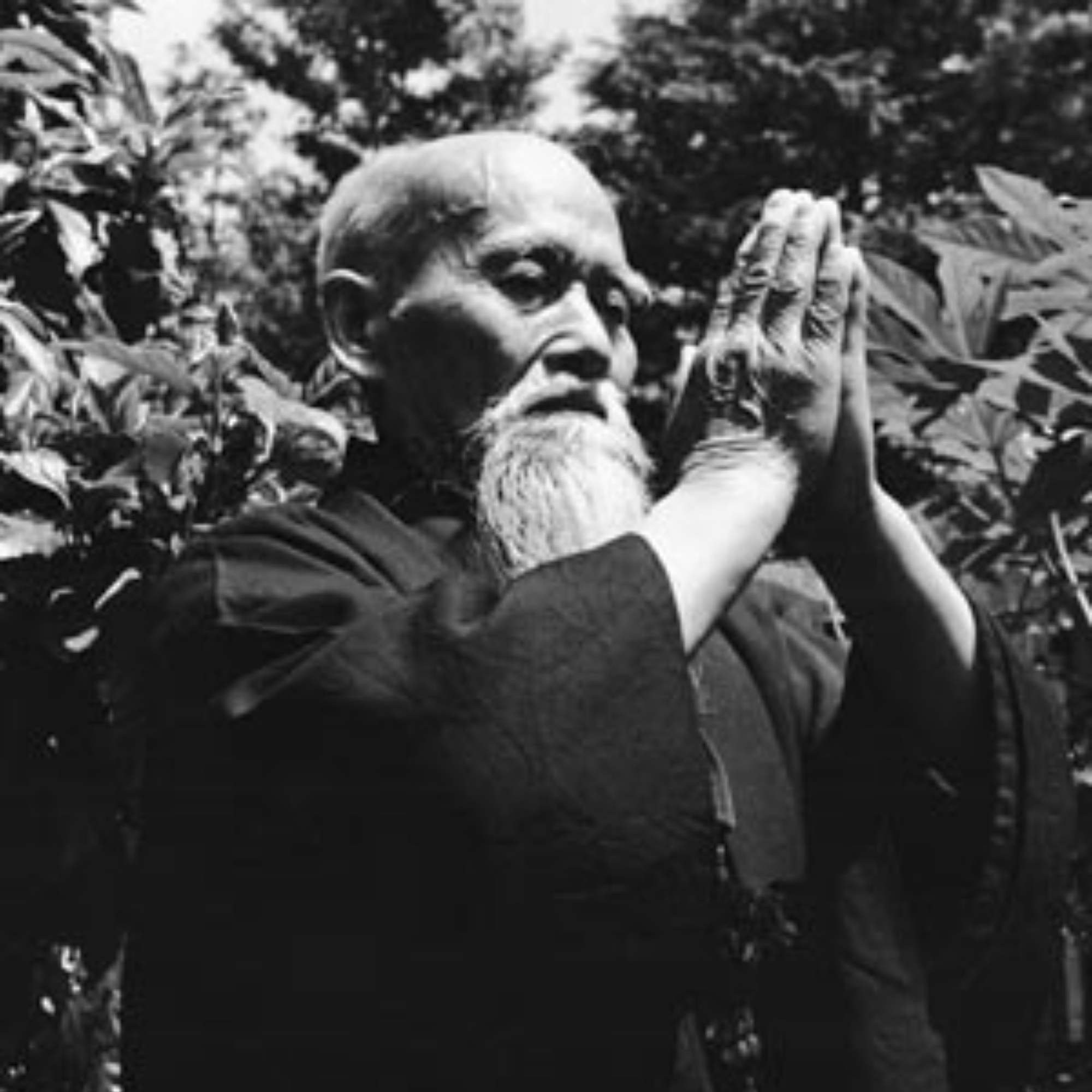 L'esprit d'Aikido - 合気道 (Aikido) par Yuka